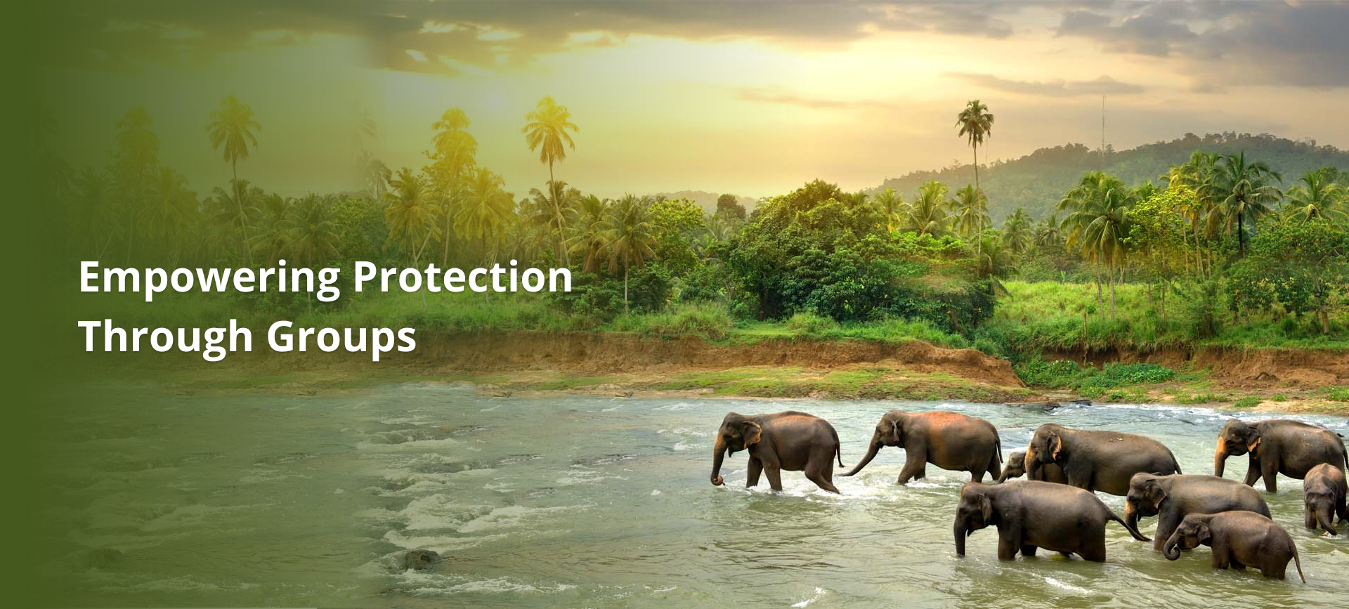 Empowering Protection through Groups