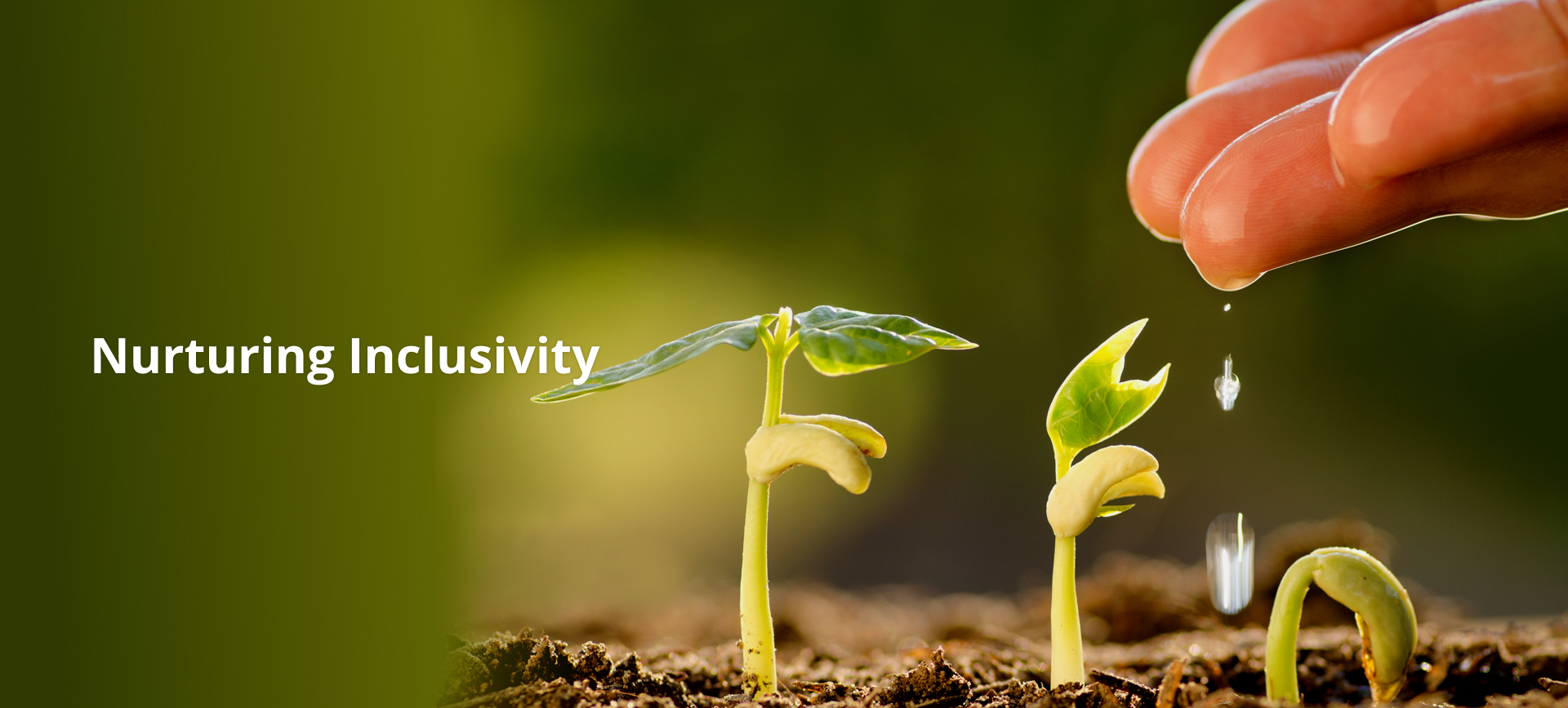 Nurturing Inclusivity 